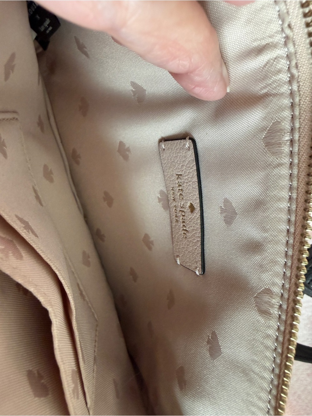 kate spade Beige Minnie Mouse Leather Crossbody with Cardholder NWOT - Picture 10 of 11